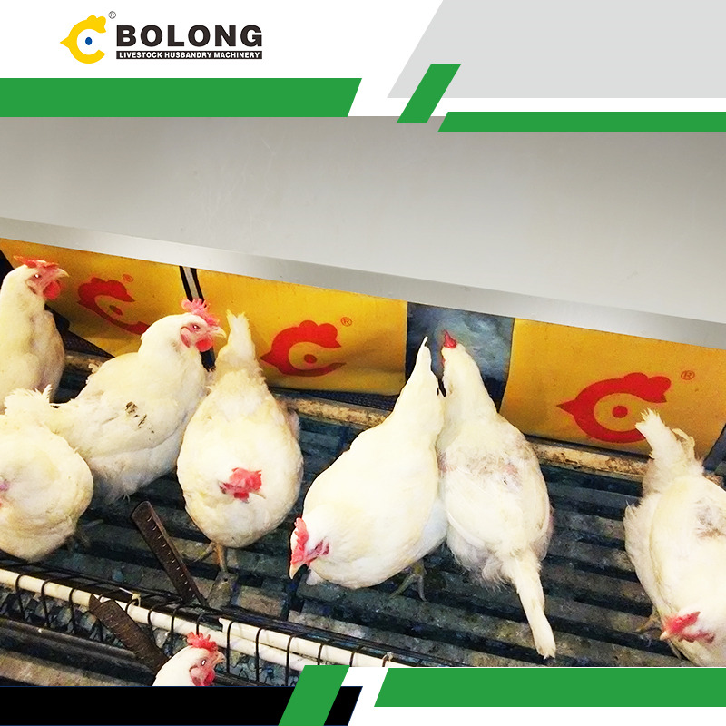 quality assured Egg Retrieval System